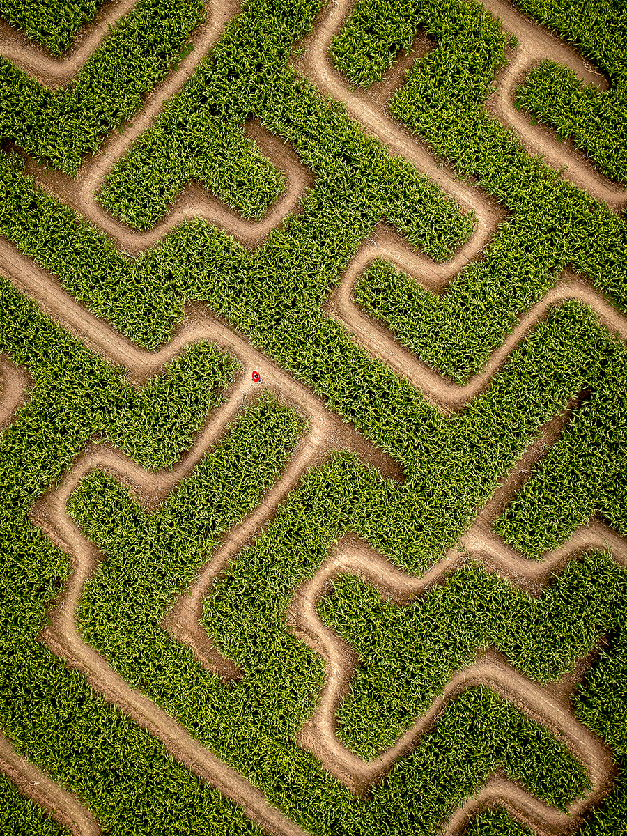 Labyrinth, doolhof, belgie, Drone fotografie